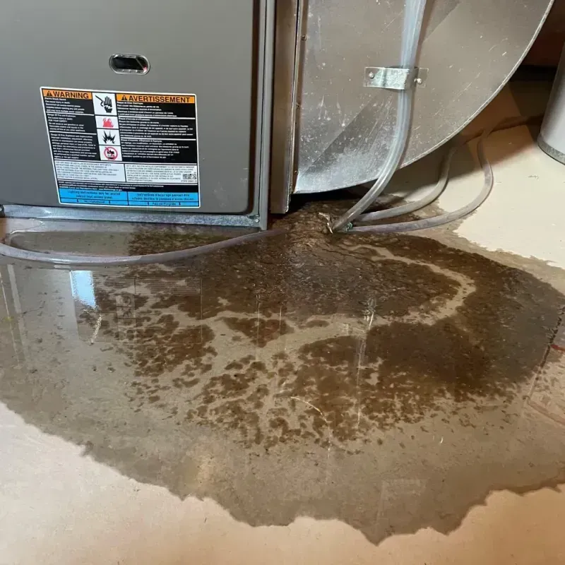 Appliance Leak Cleanup in Kent County, DE